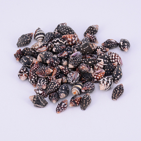 Natural Spril Shell Beads SSHEL-WH0001-22-1