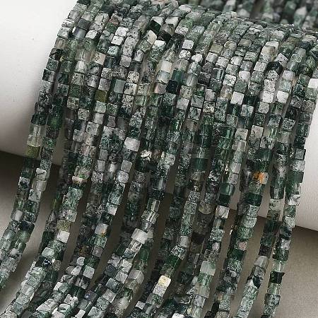Natural Moss Agate Beads Strands GG-CBA2498-A04-01-1