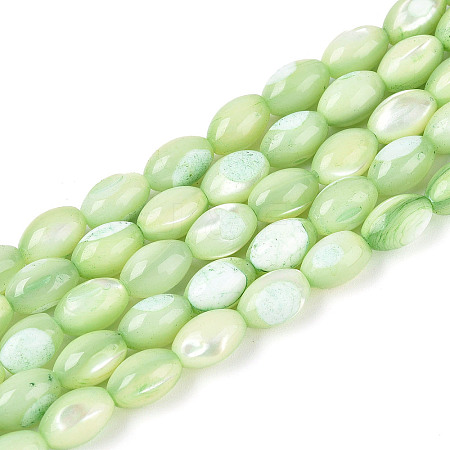 Natural Trochus Shell Beads Strands SHEL-K006-19-01C-1
