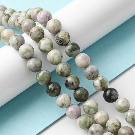 Natural Peace Jade Beads Strands G-E598-04B-1