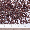 MIYUKI Round Rocailles Beads SEED-X0054-RR4503-3