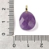 Natural Amethyst Pendants G-Z090-01G-02-3