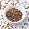 MIYUKI Delica Beads SEED-X0054-DB0040-2