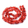 Natural Shell Beads Strands BSHE-D003-4-2