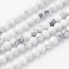 Natural Howlite Bead Strands G-G735-66-4mm-2