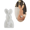 Rabbit Shape DIY Display Decoration Silhouette Silicone Molds LS-DIY-K073-08C-1
