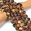 Natural Picasso Jasper/Polychrome Jasper Beads Strands G-C116-A118-01-1