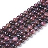 Natural Rhodonite Beads Strands G-I249-A24-1