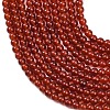 Natural Carnelian Bead Strands G-K146-03-2mm-5