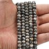 Natural Black Silk Stone/Netstone Beads Strands G-Z111-A45-2
