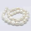 Natural Cultured Freshwater Pearl Beads Strands PEAR-K004-06A-2