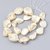 Shell Pearl Beads Strands BSHE-Q031-15H-2