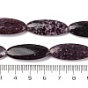 Natural Lepidolite Beads Strands G-B078-E08-01-5