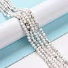 Natural Howlite Beads Strands G-H273-02B-3