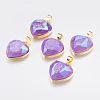 Electroplated Natural Quartz Crystal Pendants G-P366-R12-1