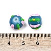 Baking Paint Glass Enamel Beads LAMP-R004-05H-4