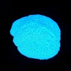 Nail Art Luminous Powder MRMJ-M003-01B-4