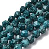 Natural Map Stone Beads Strands G-Z119-A23-03-3