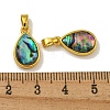 Rack Plating Brass Pave Natural Paua Shell Pendants KK-U025-08G-01-3