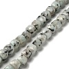 Natural Sesame Jasper Beads Strands G-H078-C24-01-1