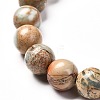 Natural Aqua Terra Jaspe Round Beads Stretch Bracelet for Men Women BJEW-JB06823-03-5