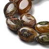 Natural Wealth Stone Beads Strands G-P528-M11-01-4
