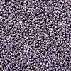 MIYUKI Delica Beads SEED-MY11-DB1065-3