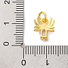 Rack Plating Brass Micro Pave Cubic Zirconia Charms KK-F881-02G-07-3