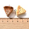 Cute Opaque Resin Pendants RESI-S014-01-3