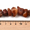 Natural Carnelian Beads Strands G-I283-F09-5