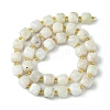 Natural Moonstone Beads Strands G-Q010-A05-01-3