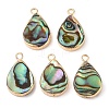 Natural Paua Shell Pendants SHEL-P017-14G-1