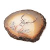 Printed Natural Agate Slice Stone Ornament DJEW-M011-03K-3