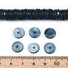 Natural Freshwater Shell Beads Strands SHEL-N037-03A-02-4
