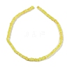 Handmade Lampwork Beads Strands LAMP-Q037-02B-02-2