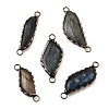 Brass Pave Natural Labradorite Feather Connector Charms G-Q350-03A-1