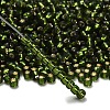 TOHO 6/0 Round Beads X-SEED-TR06-0037-2