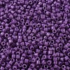 MIYUKI Delica Beads X-SEED-J020-DB2140-2