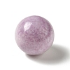 Natural Lepidolite/Purple Mica Stone Beads X-G-A206-02-09-2