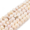 Natural Freshwater Shell Beads Strands SHEL-T011-02-8mm-1