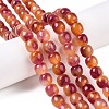 Dyed Natural White Jade Beads Strands G-T138-D09-1