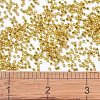 MIYUKI Delica Beads SEED-MY11-DB2157-4