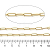 304 Stainless Steel Paperclip Chains CHS-R020-06G-03-2