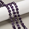 Natural Amethyst Beads Strands G-B153-A13-1