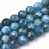 Natural Apatite Beads Strands X-G-S345-8mm-008-1