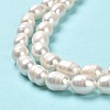 Natural Cultured Freshwater Pearl Beads Strands PEAR-E016-181A-4