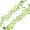 Transparent Glass Beads Strands GLAA-Z009-01H-1