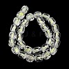Handmade Foil Lampwork Beads Strands FOIL-C002-01C-2