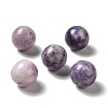 Natural Lepidolite/Purple Mica Stone Beads X-G-A206-02-09-1