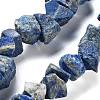 Raw Rough Natural Lapis Lazuli Beads Strands G-P528-A14-01-1